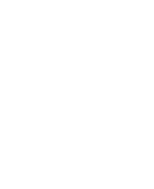 Strategy & Engineering
